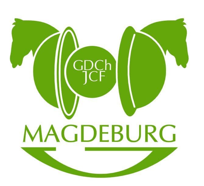 Spieleabend des JCF Magdeburg