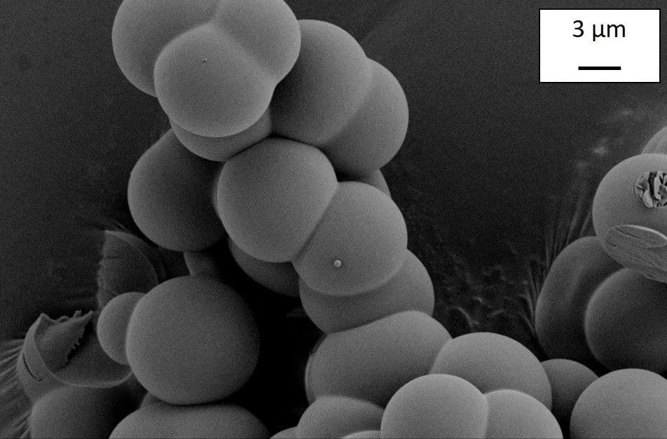 Aerogele – Polymere mit besonderen Eigenschaften