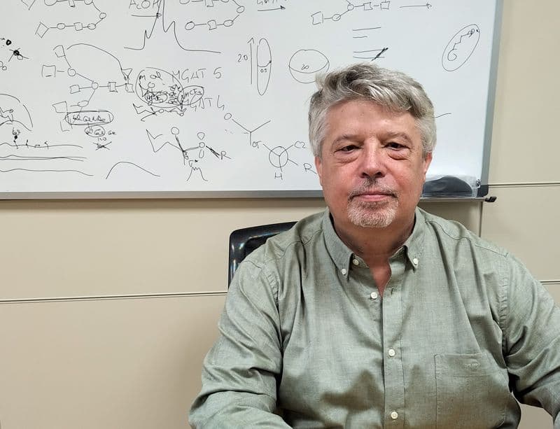 Breaking the limits in understanding glycan recognition by NMR