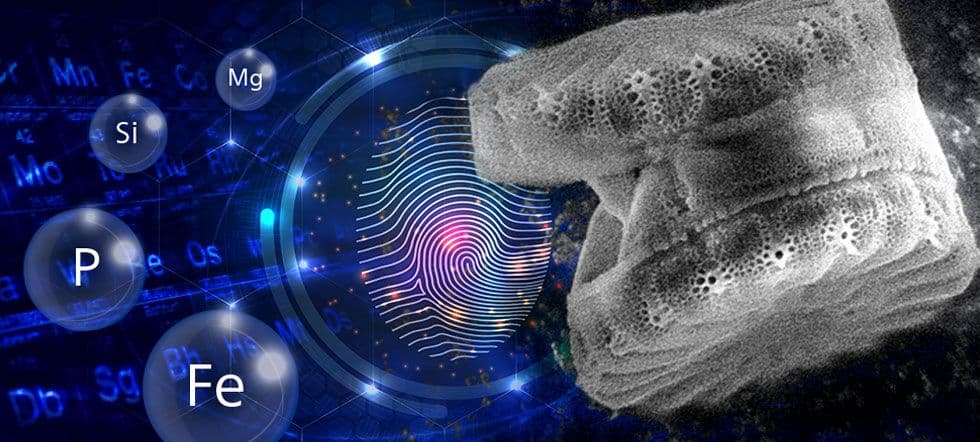 Dem Leben auf der Spur – Einzelzellanalytik