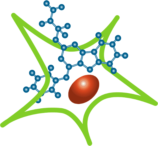 Joint Working Group Chemical Biology