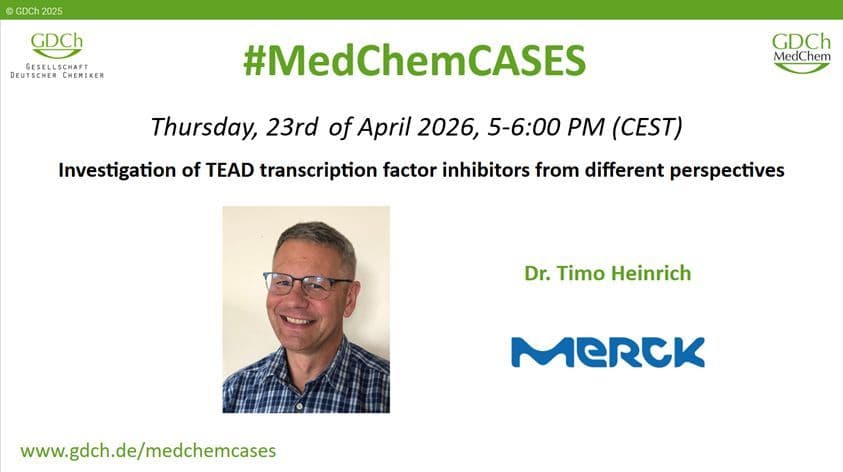 Investigation of TEAD transcription factor inhibitors from different perspectives