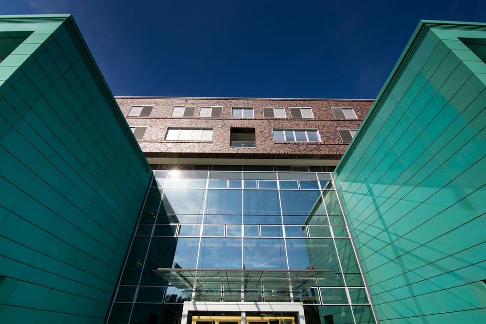 Perovskite-inspired materials for next-generation photovoltaics