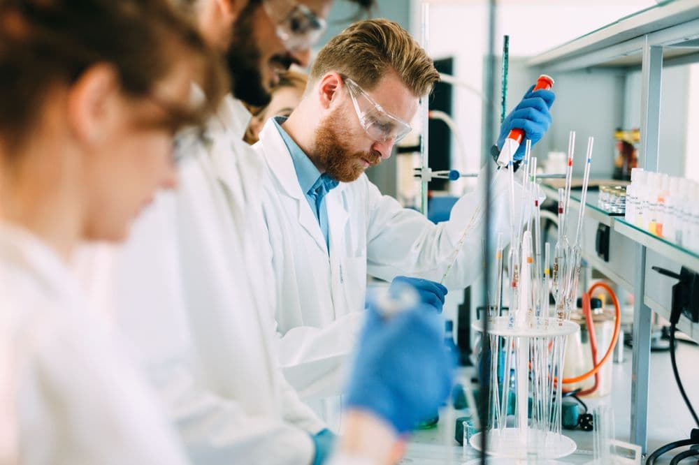 Für mehr Wettbewerbsfähigkeit: Entbürokratisierung des Gentechnikrechts gefordert