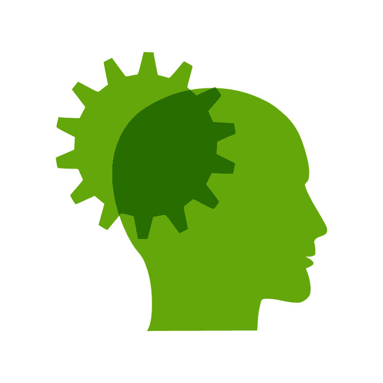 Mental Health Team