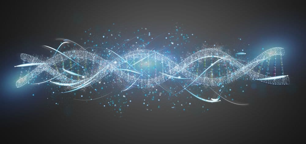 Personalisierte Medizin: Das Ende der Blockbuster – jedem Patient sein eigenes Medikament