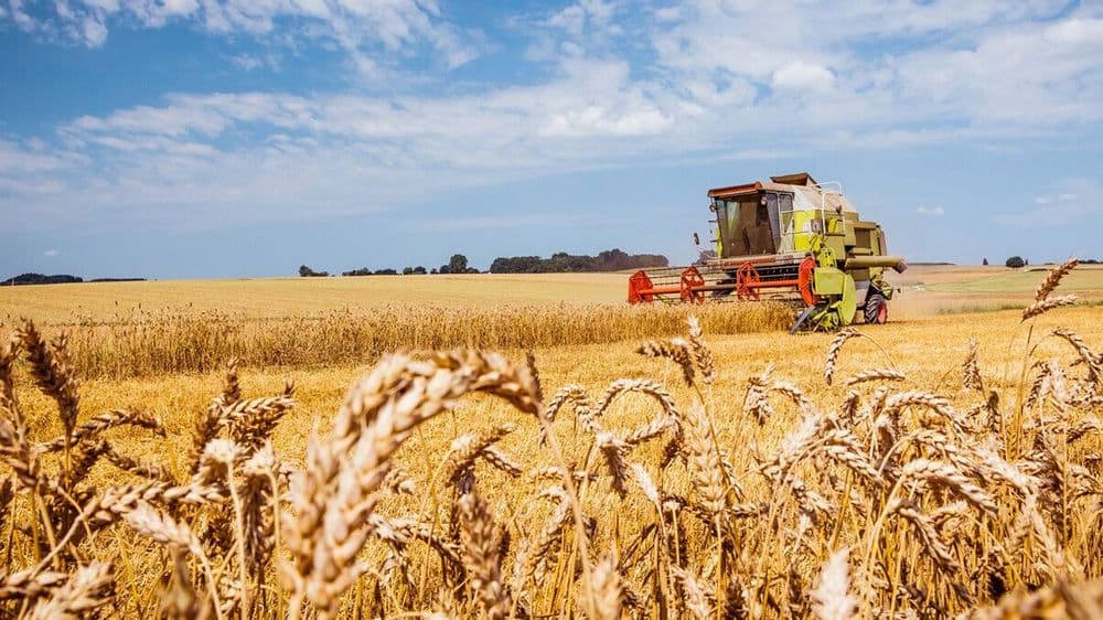 Streitpunkt Glyphosat – Pro und Contra