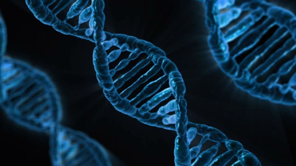 „Alles Chlor!“: CRISPR-CAS