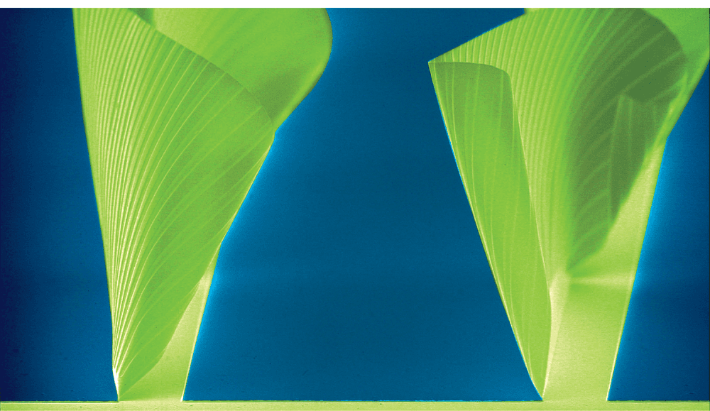 Geschäftsmodell Nanotechnik