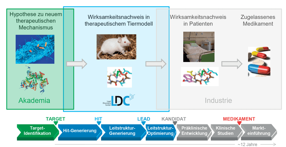 Wege zu neuen Medikamenten