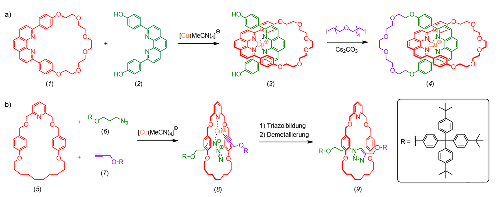 Synthese im Blickpunkt: Durch aktive Template zu verzahnten Molekülen