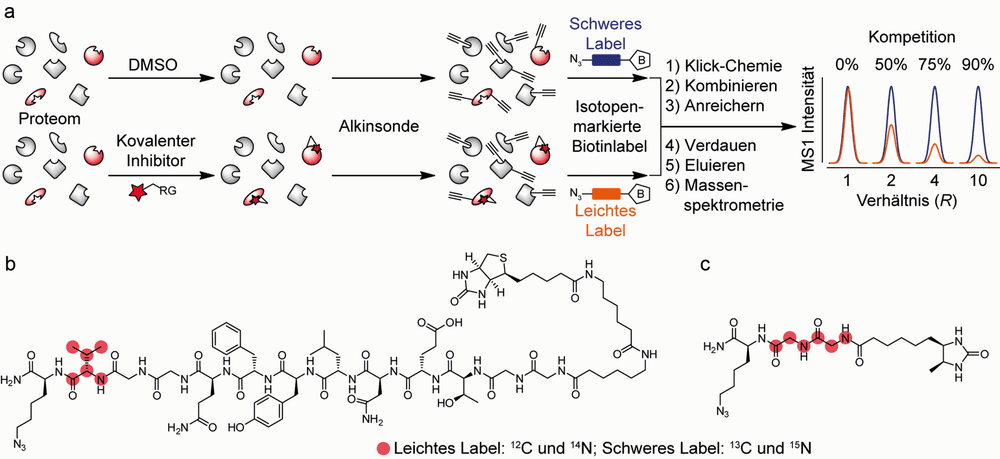 Trendbericht Biochemie: Kovalente Proteinliganden