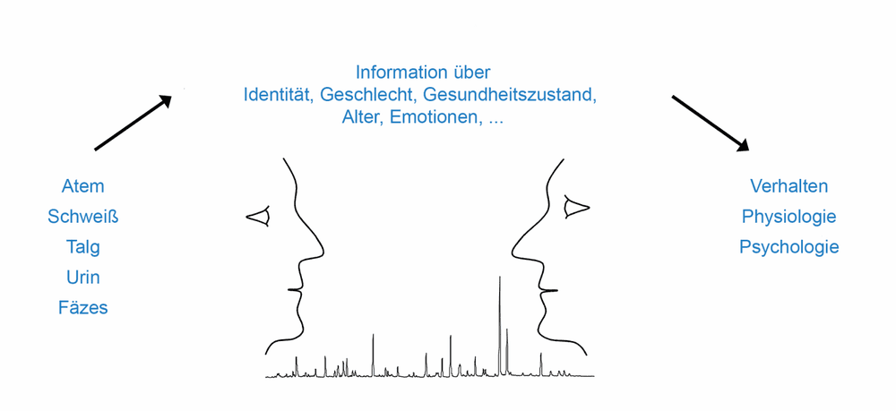 Trendbericht Lebensmittelchemie 2023