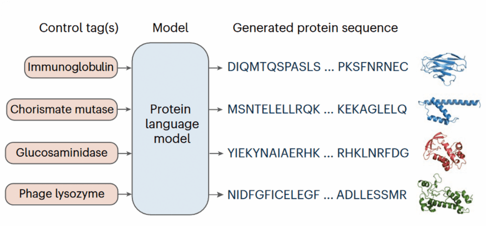 Computer erfindet Enzyme