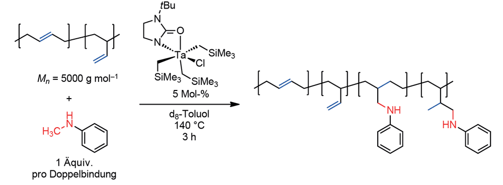 Polybutadien hydroaminomethylieren