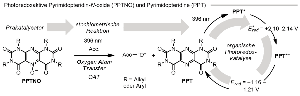 Funktionalisieren mit Licht