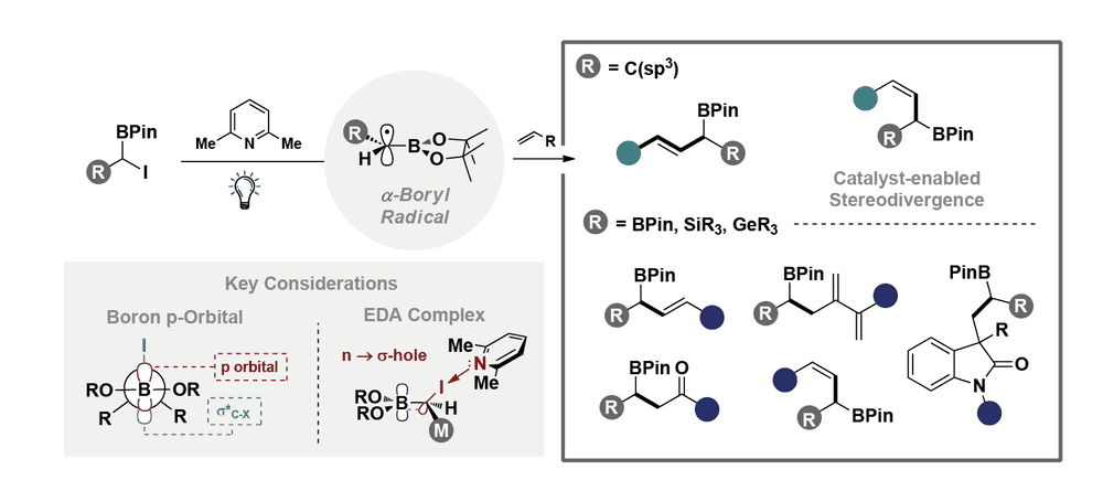 Shining a Light on Boron