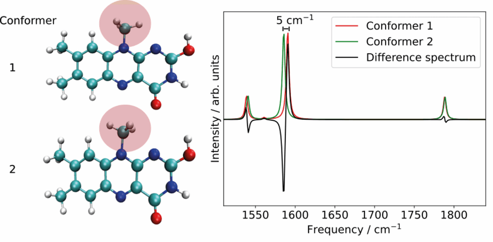 Toward Reliable Computation of Vibrational Signatures of Complex Molecular Systems/Trendbericht Physikalische Chemie 2025 (3/3)