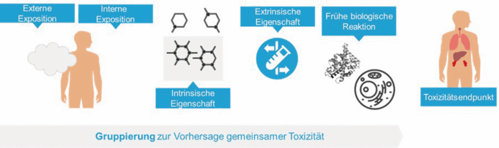 Ähnlichkeit erkennen, Risiko bewerten