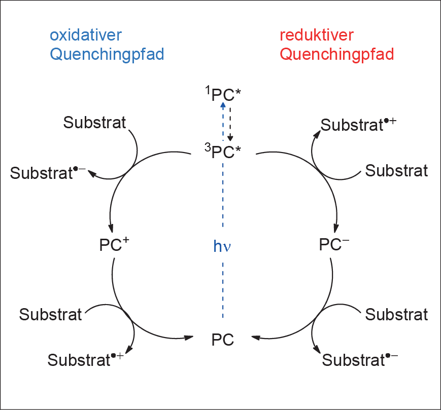 Zwei‐Photonen‐Absorption auf Umwegen