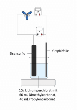 Ortsverbände