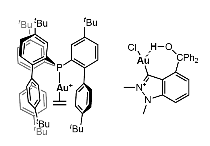 Nebengruppen und Koordinationschemie, Bioanorganik und mehr