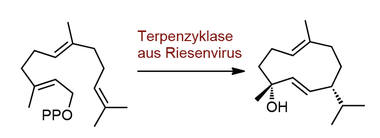 Terpenbiosynthese-Gene in Viren