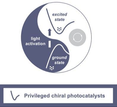Privileged Chiral Photocatalysts