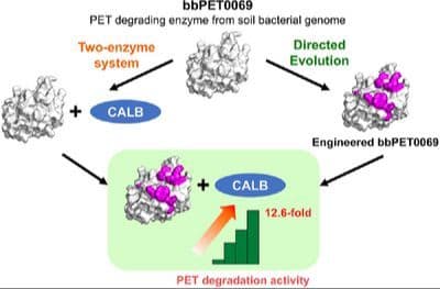 A Combination of Two‐Enzyme System and Enzyme Engineering Improved the Activity of a New PET Hydrolase Identified from Soil Bacterial Genome
