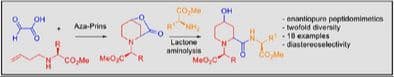 A Straightforward Access to Enantiopure 4‐Hydroxy‐pipecolic Acid Peptidomimetics by aza‐Prins Cyclization/LiNTf2‐Promoted Aminolysis of Lactones