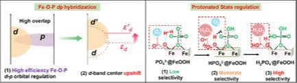 A Synchronous d–p Hybridization and Protonated State Regulation Strategy for Efficient H2O2 Photosynthesis through Optimized Water Oxidation