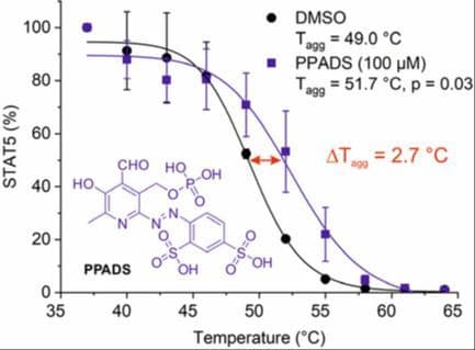 Activity Analysis of the P2X Receptor Antagonist PPADS against Signal Transducer and Activator of Transcription Proteins