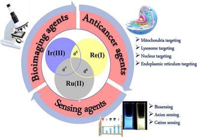 Advancements in the Applications of Mono and Bimetallic Rhenium(I) Complexes in Anticancer Therapeutics, Bioimaging, and Biosensing
