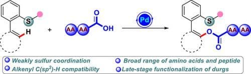 Amino Acids as Carboxyl Sources for the Palladium‐Catalyzed Remote Selective C(sp2)─H Acyloxylation