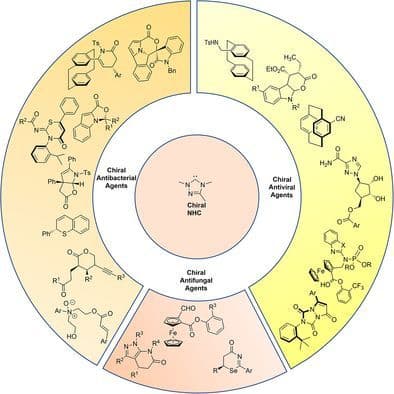 Asymmetric Synthesis of Bioactive Molecules for Pesticide Development with N‐Heterocyclic Carbene (NHC)‐Organocatalysis