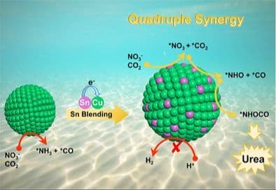 Atomic‐Scale Mott–Schottky Analogy in SnCu Nanoalloy Promote High‐Efficiency Urea Electrosynthesis at Ultralow Potential