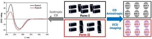 Beyond Spectral Similarity: How to Distinguish Polymorphs with Similar Solid‐State Circular Dichroism Anisotropy Spectra?