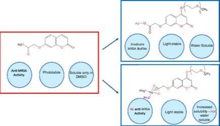 Biofilm Eradication Using Water‐Soluble Silver(I) Coumarin Complexes