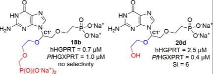 C1′‐Branched Acyclic Nucleoside Phosphonates as Inhibitors of Plasmodium Falciparum 6‐Oxopurine Phosphoribosyltransferase