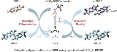 Catalytic Polymerization of n‐Doped Poly(benzodifurandione) (n‐PBDF) Using Parts Per Million (ppm) Levels of Molybdenum Trioxide