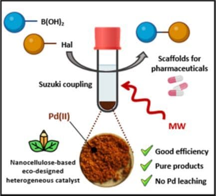 Cellulose‐Based Nanosponges Loaded with Palladium as Efficient Heterogeneous Catalysts for the Synthesis of Challenging Derivatives with Pharmaceutical Relevance