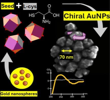 Chiral Gold Nanoparticles via L‐ or D‐Cysteine Functionalization: Synthesis and Characterization