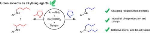 Cobalt‐Catalyzed Green Alkylations of Anilines with Tetrahydrofurans