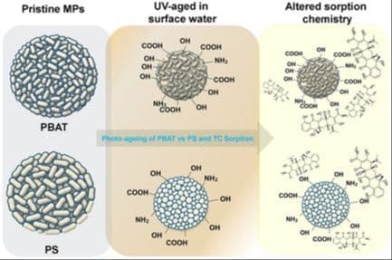 Comparative Photo‐Induced Aging of Poly(Butylene Adipate‐co‐Terephthalate) and Polystyrene Microplastics and their Divergent Affinities for Tetracycline in Aquatic Environments