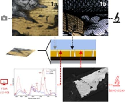Complex Material Analysis of Reverse Painting on Glass by Means of Photography, Microscopy, and Spectroscopic Techniques