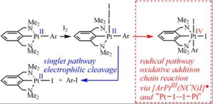 Computational Studies of ArPtII(NCN) (NCN = Pincer) Reactivity toward Diiodine: Electrophilic Cleavage by a Singlet Pathway or Oxidative Addition by a Radical Pathway?