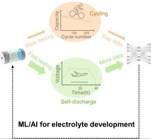 Correlating Self‐Discharge and Cycling Performance of Batteries to Fasten Electrolytes Development