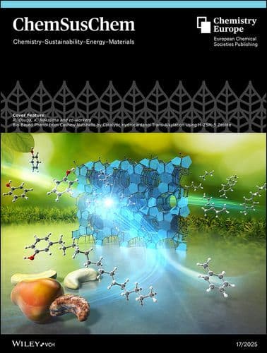 Cover Feature: Bio‐Based Phenol from Cashew Nutshells by Catalytic Hydrocardanol Trans‐Alkylation Using H‐ZSM‐5 Zeolite (ChemSusChem 17/2025)
