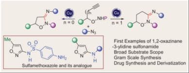 Cu‐Catalyzed Synthesis of Isoxazolidine/1,2‐Oxazinane‐3‐ylidene Sulfonamide from O‐Alkynyl Hydroxylamines: A Route to Sulfamethoxazole Analogues