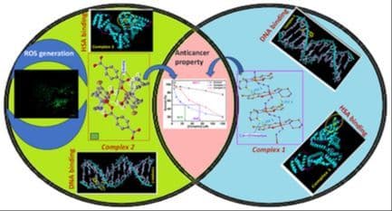 Cu(I) and Cu(II) Complexes with a Piperazine‐Containing N,N,O‐Chelate Ligand: A Combined Theoretical and Experimental Investigation